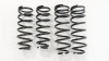RS-R 01-06 Lexus LS430 (UCF30/31) Super Down Springs - T284S Photo - Primary