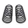 ARB OME 2024+ Toyota Tacoma Coil Spring - Rear 440lbs - 3320 Photo - Close Up