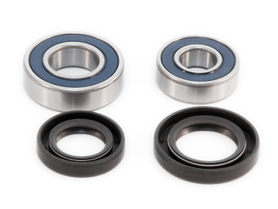 EPI 06-22 Yamaha 700 Raptor / Grizzly Wheel Bearing Kit - WE301145 Photo - Primary
