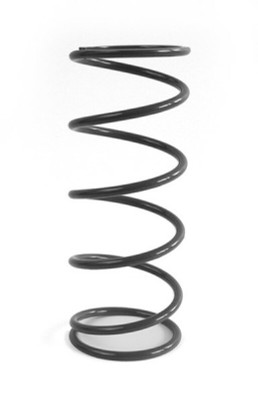 EPI 20+ Polaris RZR Pro XP/4/RZR Turbo R/4 Primary Spring Yellow - XPPS1 Photo - Primary