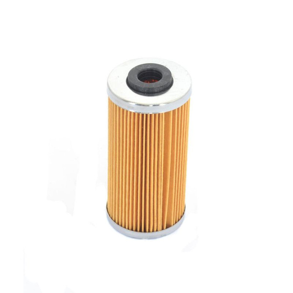 Athena 09-10 BMW G 450 X 450 Oil Filter - FFC047
