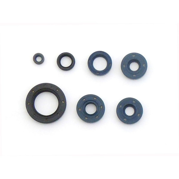 Athena 2000 Bombardier DS 650 Engine Oil Seal Kit - P400070400001