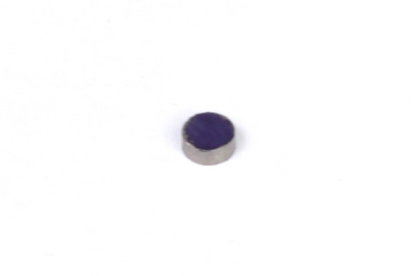 Haltech Rare Earth Magnets (5mm Dia x 2mm H) - HT-010602