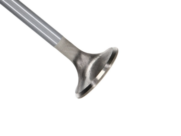 Manley Ford Coyote 5.0L DOHC Exhaust 32mm Race Master Valves w/Bead Loc Groove (Set of 8) - 11627B-8