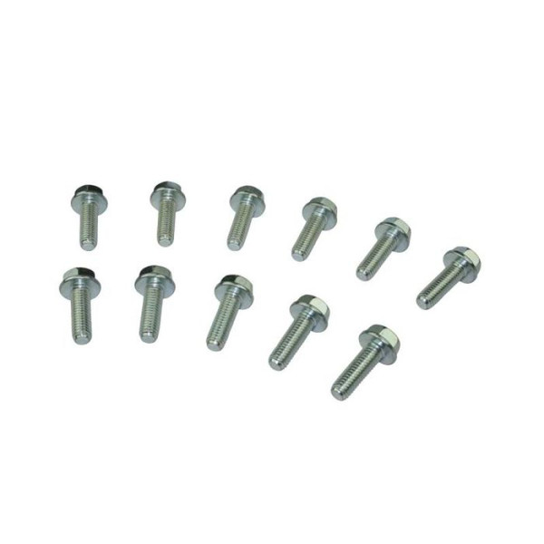 Moroso GM LS LSX Lifter Valley Plate Bolts - 38307