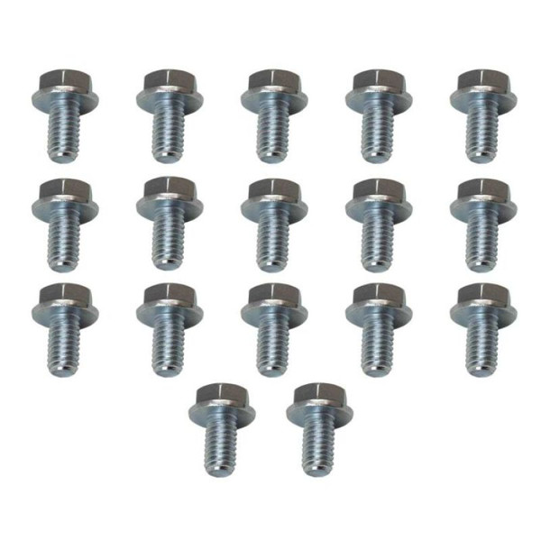 Moroso 4L60/4L60E/200R4/700R4 Transmission Pan Bolts - Set of 17 - 38782