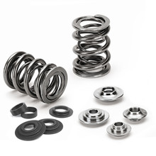 Supertech Honda F20/K20 Dual Valve Spring Kit - SPRK-H1021D-ST