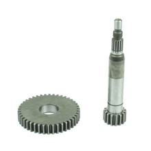 Athena Primary Gear Z 15/42 - 059015