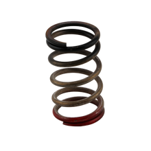Turbosmart Gen-V WG40/45 HP 40 PSI Spring Upgrade - Black/Red - TS-0550-3112