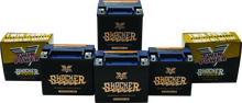Twin Power YTX-14L Shocker Gel Battery Replaces H-D 65958-04 220 CCA - 781232