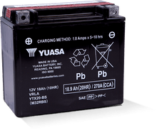 Yuasa YTX20-BS Maintenance Free AGM 12-Volt Battery w/Bottle - YUAM32RBS
