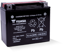 Yuasa YTX20H-BS High Performance AGM 12-Volt Battery w/Bottle - YUAM62RBH