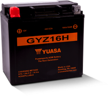 Yuasa GYZ16H High Performance Maintenance Free AGM 12-Volt Battery - YUAM716GH