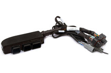 Haltech Elite 1500 Plug-n-Play Adaptor Harness - HT-140980