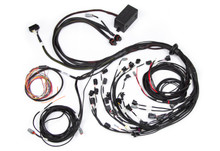 Haltech Elite 2500 Terminated Harness w/EV1 Injector Connectors - HT-141388