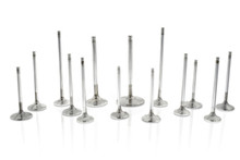Ferrea Chrysler Big Block 1.625in Head 5/16 Stem Dia 6000 Series Competition Exhaust Valve Set of 8 - F6286