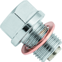 BikeMaster Magnetic Oil Drain Plug 14mm - Stainless - 151682