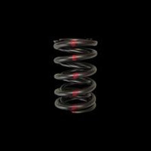 Brian Crower Honda H22/Nissan SR20VE Dual Valve Spring - Single - BC1030-1