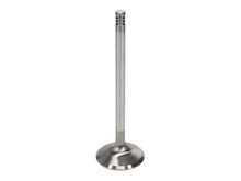 Manley Ford 6.2L Race Master Intake Valves 43mm HD B (Set of 8) - 11613B-8