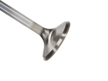 Manley Chrysler Hemi 6.1L 1.625in Race Master B/L Exhaust Valves (Set of 8) - 11671B-8