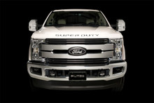 Putco 17-19 Ford SUPERDUTY Letters (Stamped/Black Platinum) Tailgate/Rear - 55552BPFD
