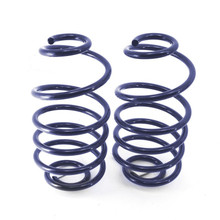 Ridetech 68-72 GM A-Body StreetGRIP Dual-Rate Coil Springs Rear Pair - 11244799