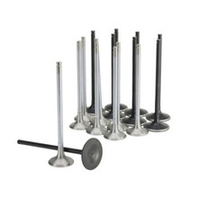 Skunk2 Honda K20C1 Alpha Series Inatke & Exhaust Valve Set (Standard Compression) - 310-05-2000