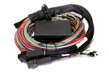 Haltech Elite 2500/2500 T 8ft Premium Universal Wire-In Harness - HT-141304