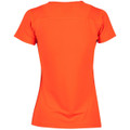 Ladies' Cooldry Stretch Tee