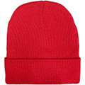 Roll Up rPET Beanie