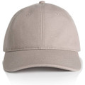 Access Canvas Cap