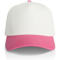 Frame Two-Tone Cap