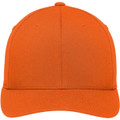 Port Authority Flexfit Cotton Twill Cap