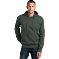District Perfect Weight Fleece Hoodie