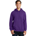 Port & Company Fan Favorite Fleece Pullover Hooded Sweatshirt