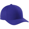 Sport-Tek Yupoong Curve Bill Snapback Cap