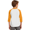 Sport-Tek Youth Colorblock Raglan Jersey