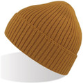 Viral Beanie