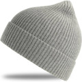Andy Recycled Beanie