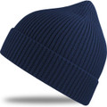 Andy Recycled Beanie
