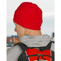 Polar Beanie