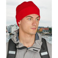 Polar Beanie