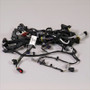 Photo - Unmounted