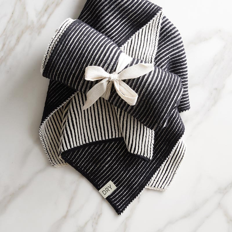 Santa Barbara Design Studio Knit Dish Towel