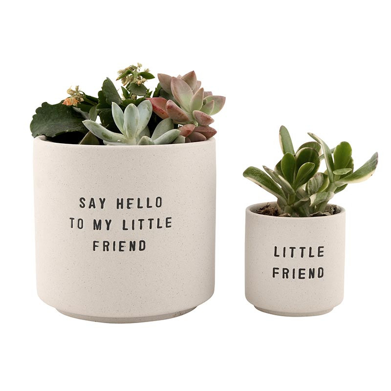 terrarium plants for sale Buy Spherical desert plant terrarium (5.5in Ht) online from Nurserylive at  lowest price main image 0