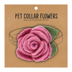 SM Pet Collar Flower-Orchid G5575