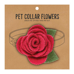 SM Pet Collar Flower-Raspberry G5576