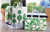 Canvas Tote - Green Floral