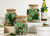 Enamel Wood Star Ornaments - Green