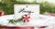 Peppermint Place Card Holder